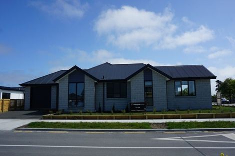 Photo of property in 2 Edlin Lane, Pegasus, 7612