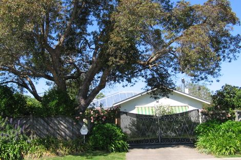 Photo of property in 46 Lytton Road, Riverdale, Gisborne, 4010