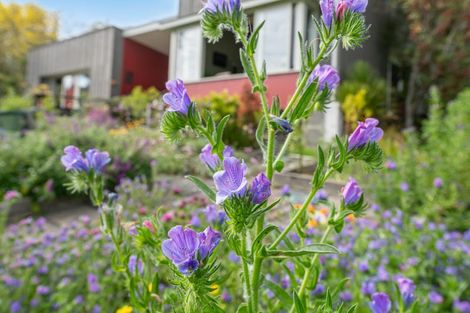 Photo of property in 56a Kaipara Coast Highway, Helensville, Kaukapakapa, 0871