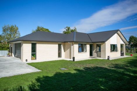 Photo of property in 41 Rata Street, Matamata, 3400