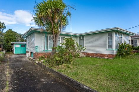 Photo of property in 9 Kuaka Place, New Lynn, Auckland, 0600