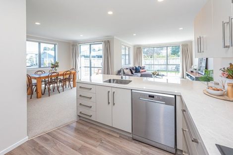 Photo of property in 18 Brougham Place, Springvale, Whanganui, 4501