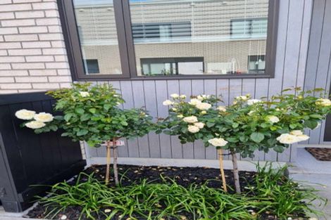 Photo of property in 12b Titoki Street, Te Atatu Peninsula, Auckland, 0610