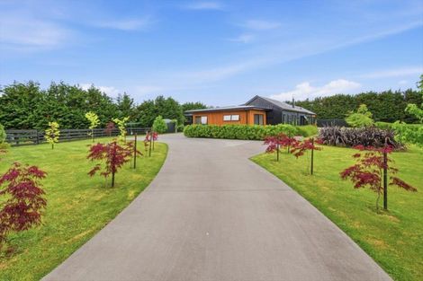 Photo of property in 38 Shaw Road, Te Ranga, Te Puke, 3182