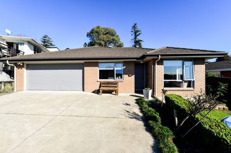 Photo of property in 138a Ellicott Road, Nawton, Hamilton, 3200