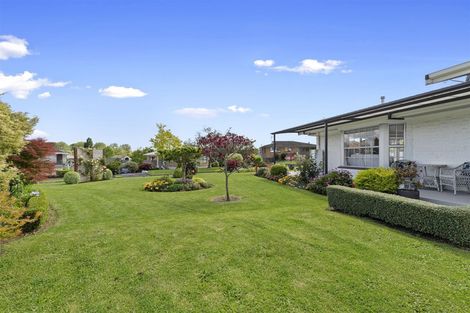 Photo of property in 26 Williams Avenue, Morrinsville, 3300