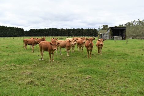 Photo of property in 70 Otaki Gorge Road, Hautere, Otaki, 5582