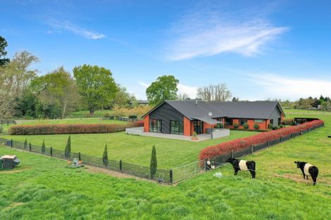 Photo of property in 29 Murneys Lane, Huntingdon, Ashburton, 7774