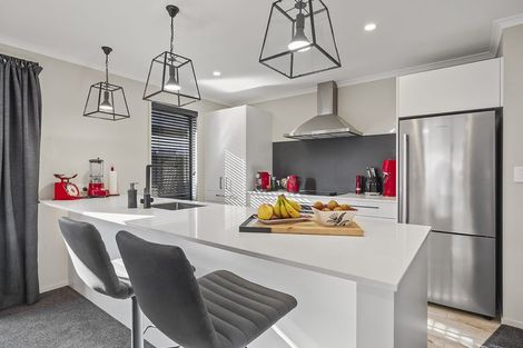 Photo of property in 21 Naismith Street, Chartwell, Hamilton, 3210