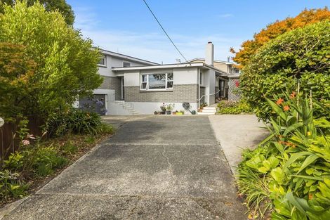 Photo of property in 4 Leven Street, Roslyn, Dunedin, 9010