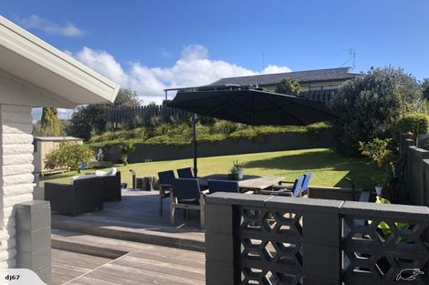 Photo of property in 17 Maple Avenue, Dinsdale, Hamilton, 3204