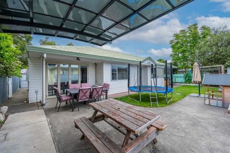 Photo of property in 58 Downing Avenue, Pirimai, Napier, 4112