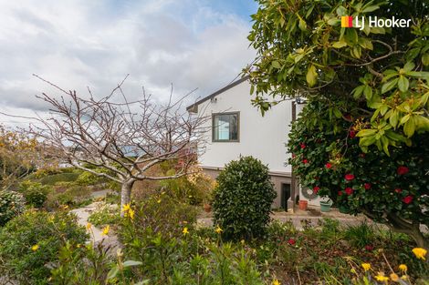 Photo of property in 103 Shetland Street, Wakari, Dunedin, 9010