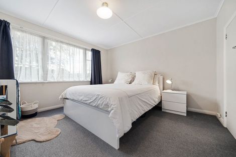 Photo of property in 19 Salisbury Avenue, Terrace End, Palmerston North, 4410