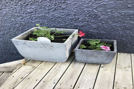 Photo of property in 123-125 Owen Street, Newtown, Wellington, 6021