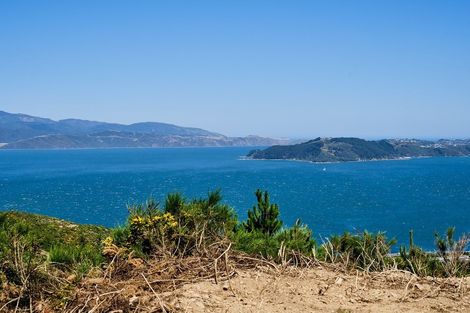 Photo of property in 17 Grumman Lane, Newlands, Wellington, 6037