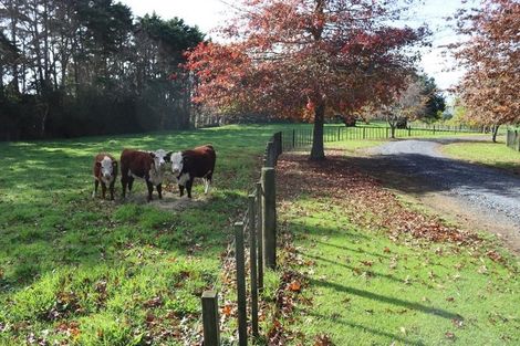 Photo of property in 364 Waikaramu Road, Waimate North, Kaikohe, 0472