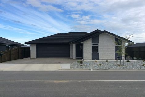 Photo of property in 8 Drayton Street, Richmond, 7020