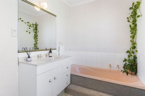Photo of property in 11a Jasmine Place, Mount Maunganui, 3116