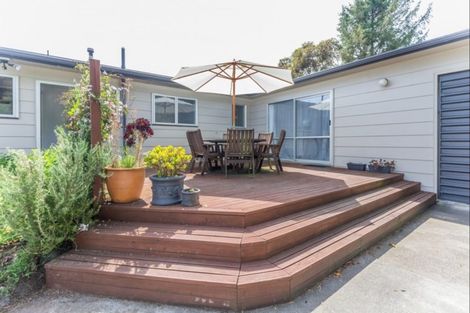 Photo of property in 25 Strathmore Avenue, Levin, 5510