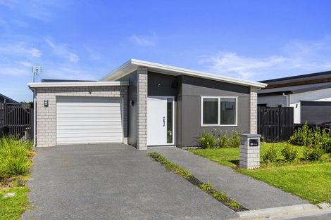 Photo of property in 19 Ogilvie Avenue, Chartwell, Hamilton, 3210