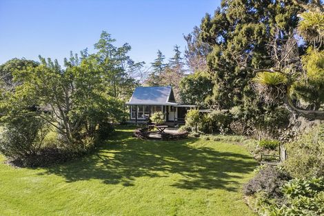 Photo of property in 202 Thompsons Track, Aongatete, 3178