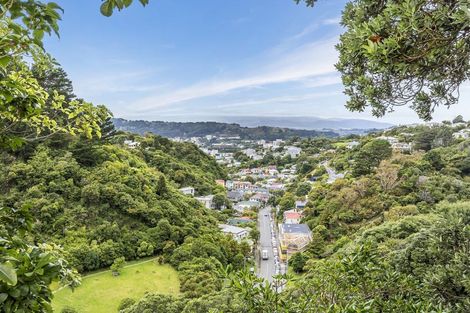 Photo of property in 153 Raroa Road, Aro Valley, Wellington, 6012