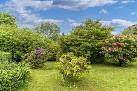 Photo of property in 52 Greenhill Avenue, Wakari, Dunedin, 9010