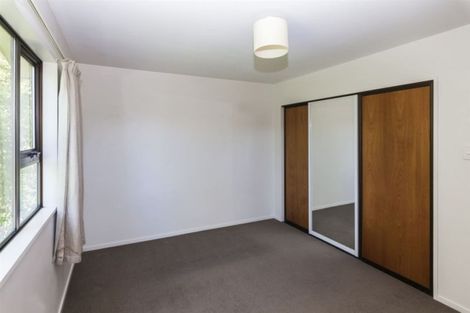 Photo of property in 53a Opawa Road, Waltham, Christchurch, 8023