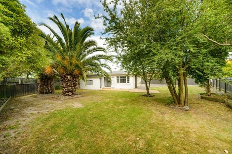 Photo of property in 149 North Street, Feilding, 4702