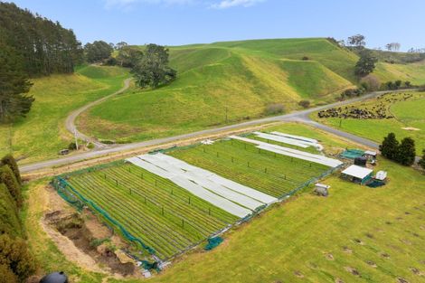 Photo of property in 24 Johnson Road, Pukehina, Te Puke, 3186