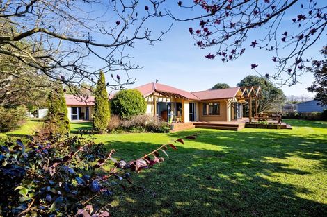 Photo of property in 47a Maire Street, Inglewood, 4330