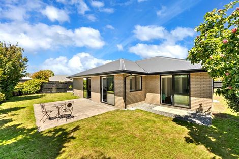 Photo of property in 20 Larne Place, Belfast, Christchurch, 8051