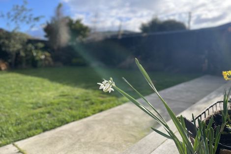 Photo of property in 127 Barrington Street, Somerfield, Christchurch, 8024