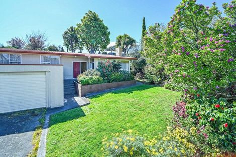 Photo of property in 41 Muritai Crescent, Havelock North, 4130