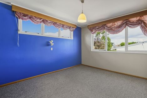 Photo of property in 141 Shetland Street, Wakari, Dunedin, 9010