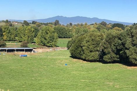 Photo of property in 382 Koromatua Road, Temple View, Hamilton, 3290