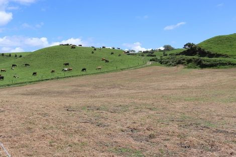 Photo of property in 1234 Richmond Road, Everett Park, Inglewood, 4389