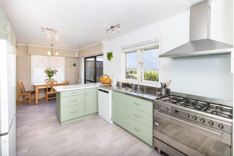 Photo of property in 43 Frontier Road, Te Awamutu, 3876