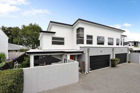 Photo of property in 52b Willoughby Street, Whitiora, Hamilton, 3200