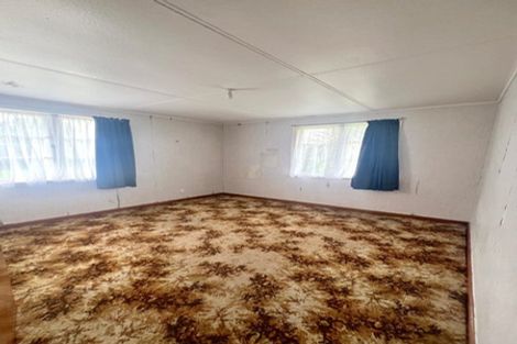 Photo of property in 101 Orchard West Road, Ngatea, 3503