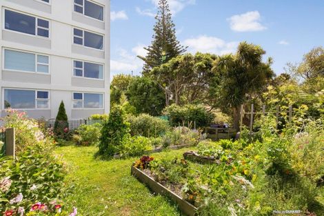 Photo of property in 83 Washington Avenue, Brooklyn, Wellington, 6021