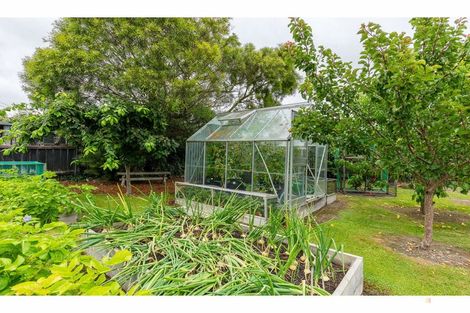 Photo of property in 17 Harris Street, Waimate, 7924