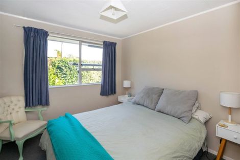 Photo of property in 20 Rousehill Street, Renwick, 7204