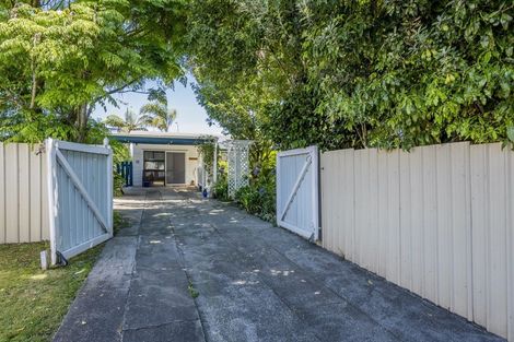 Photo of property in 19 Douglas Street, Levin, 5510
