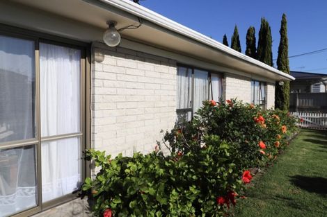 Photo of property in 202 Robert Street, Thames, 3500