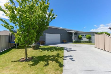 Photo of property in 9 Inglis Place, Mahora, Hastings, 4120