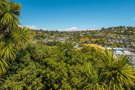 Photo of property in 80 Mount Street, Nelson South, Nelson, 7010