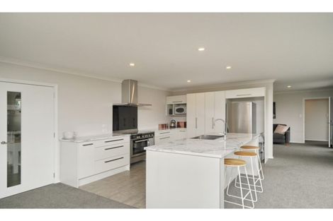 Photo of property in 87 Bayliss Drive, Kaiapoi, 7630