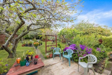 Photo of property in 113 Moore Street, Hillcrest, Auckland, 0627